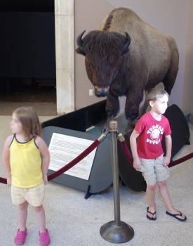 Buffalo Museum of Science